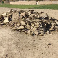 خاک گوسفندی یک کمپرسی