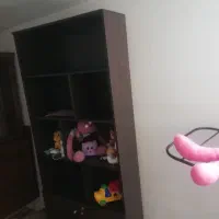 کمد کتابخونه و دومی