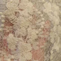 لباس مجلسی|لباس|تبریز, |دیوار