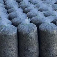 فروش تفاله چغندر کنگاور صحنه تویسرکان اسدآباد