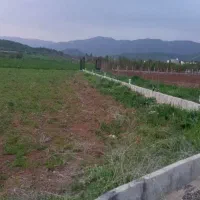 خانه باغی|فروش خانه و ویلا|خاو و میرآباد, |دیوار