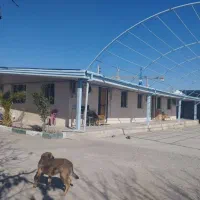 فروش ۱۰۸۱۵ متر سوله در وهن آباد رباط کریم|فروش دفتر صنعتی، کشاورزی، تجاری|رباط‌کریم, وهن آباد|دیوار