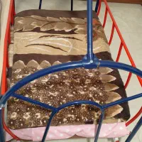 گهواره کودک