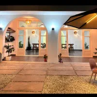 استخدام در کافه چهارفصل