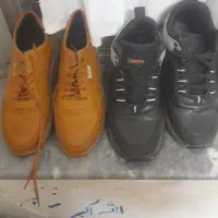 دو عدد کفش مجلسی واسپورت