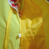 کت مجلسی|لباس|لاهیجان, امیرشهید|دیوار