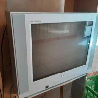 تلوزیون