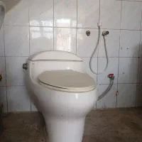 فرنگیکاملا سالم و اماده نصب