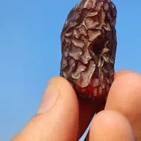 فروش تناژ خرما پیارم|خوردنی و آشامیدنی|اوز, |دیوار