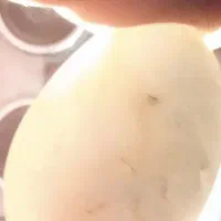 سنگهای جواهری کمیاب|جواهرات|تهران, خلیج فارس|دیوار