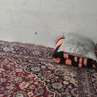 سوییت موقت روزانه هفتگی ماهانه  محدوده امامشهر