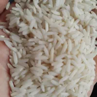 برنج  درجه ۱ گیلان