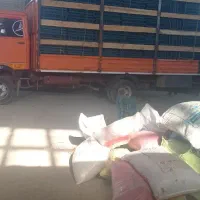 نیروی کاردرتولیدسبدمیوه