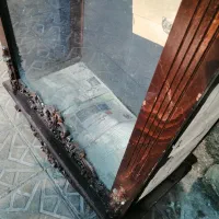 بوفه برای پرندگان
