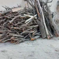 فروش چوب خشک|خدمات باغبانی و درختکاری|شهریار, رزکان|دیوار