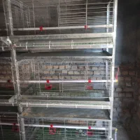 قفس مرغ گوشتی|لوازم جانبی حیوانات|بندر ترکمن, |دیوار