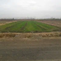 فروش زمین|فروش دفتر صنعتی، کشاورزی، تجاری|سلماس, |دیوار