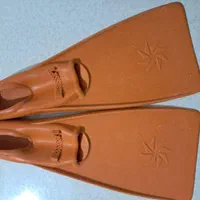 کفش پافین شنا