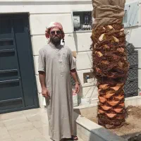 قطع نخل .هرس نخل .بریدن نخل از ریشه..تمیزکردن نخل|خدمات باغبانی و درختکاری|اهواز, گلستان|دیوار
