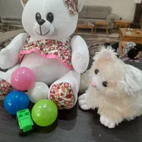 دو عدد  اسباب بازی  ند بچه ک گانه