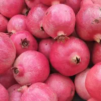 انار ، انار دانه سیاه