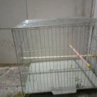 قفس پرنده