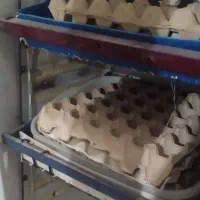 دستگاه جوجه کشی دست ساز|لوازم جانبی حیوانات|حمیدیه, |دیوار