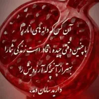 204-متر-زمین-بلوار-ازادگان-روستای-فخریه