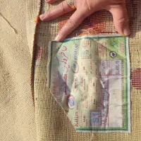 کناره و گلیم فرش ۶ متری