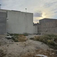 زمین مسکونی پهلوان کشی