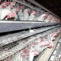 استخدام سالن دار