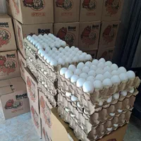 پخش تخم مرغ قند وشکر کلی و جزئی ب قیمت روز|خوردنی و آشامیدنی|قرچک, پارس سرام|دیوار