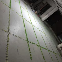 کارگر کاشی کاری