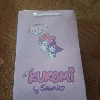 ساک دستی کرومی