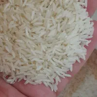 برنج فجر مجلسی شمالی     اصفهان کارت  کالابرگ ازاد|خوردنی و آشامیدنی|اصفهان, رزمندگان|دیوار