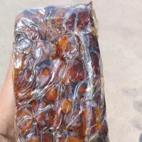 خرما کبکاب|خوردنی و آشامیدنی|شیراز, گلستان|دیوار