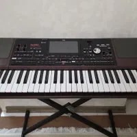 KORG PA1000|پیانو، کیبورد، آکاردئون|سهند, |دیوار