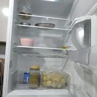 یخچال|یخچال و فریزر|محمدشهر, همایون ویلا|دیوار