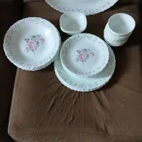 سرویس آرکوپال دینو