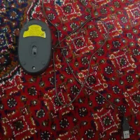 موس سالم|قطعات و لوازم جانبی رایانه|کرمانشاه, |دیوار