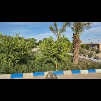 فروش زمین شهرک شرافت گلخانه ها