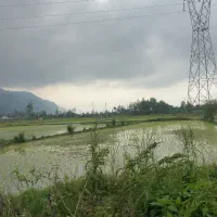 فروش زمین زراعی بر اصلی