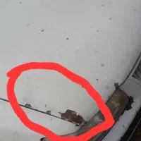 سمند ای اف سون دوگانه|خودرو سواری و وانت|ماهنشان, |دیوار