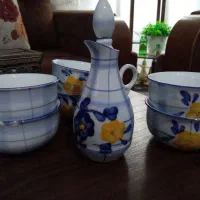 ظروف پذیرایی