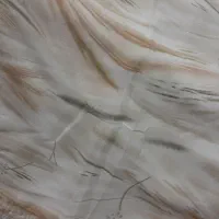 چادر و پارچه گیپور|لباس|شاهین‌شهر, گزبرخوار|دیوار