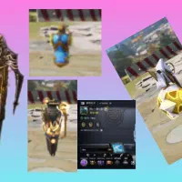 اکانت کالاف