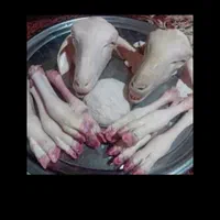 کله پاچه و سیرابی تمیز میکنیم