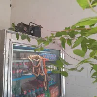 یخچال ایستاده با موتور فرانسوی وکانتر گرم دردار|کافیشاپ و رستوران|الشتر, |دیوار