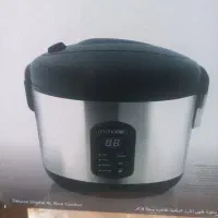 پلوپزوبخارپز برقی