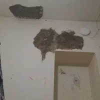 لکه گیری گچ پذیرفته می‌شود